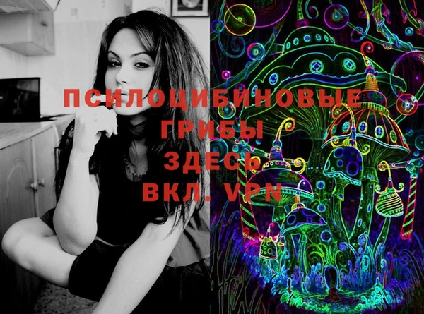 твердый Алзамай