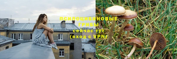 прущая мука Наволоки